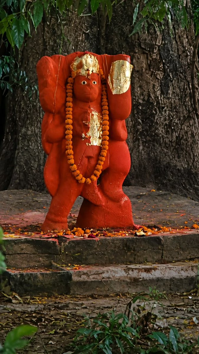raani_purohit's tweet photo. सबकी रक्षा करने वाले दक्षिण मुखी वीर बजरंगबली हनुमान सुबह सवेरे मंगलकारी अद्भुत दिव्य दर्शन https://t.co/cPtWyKaYYM