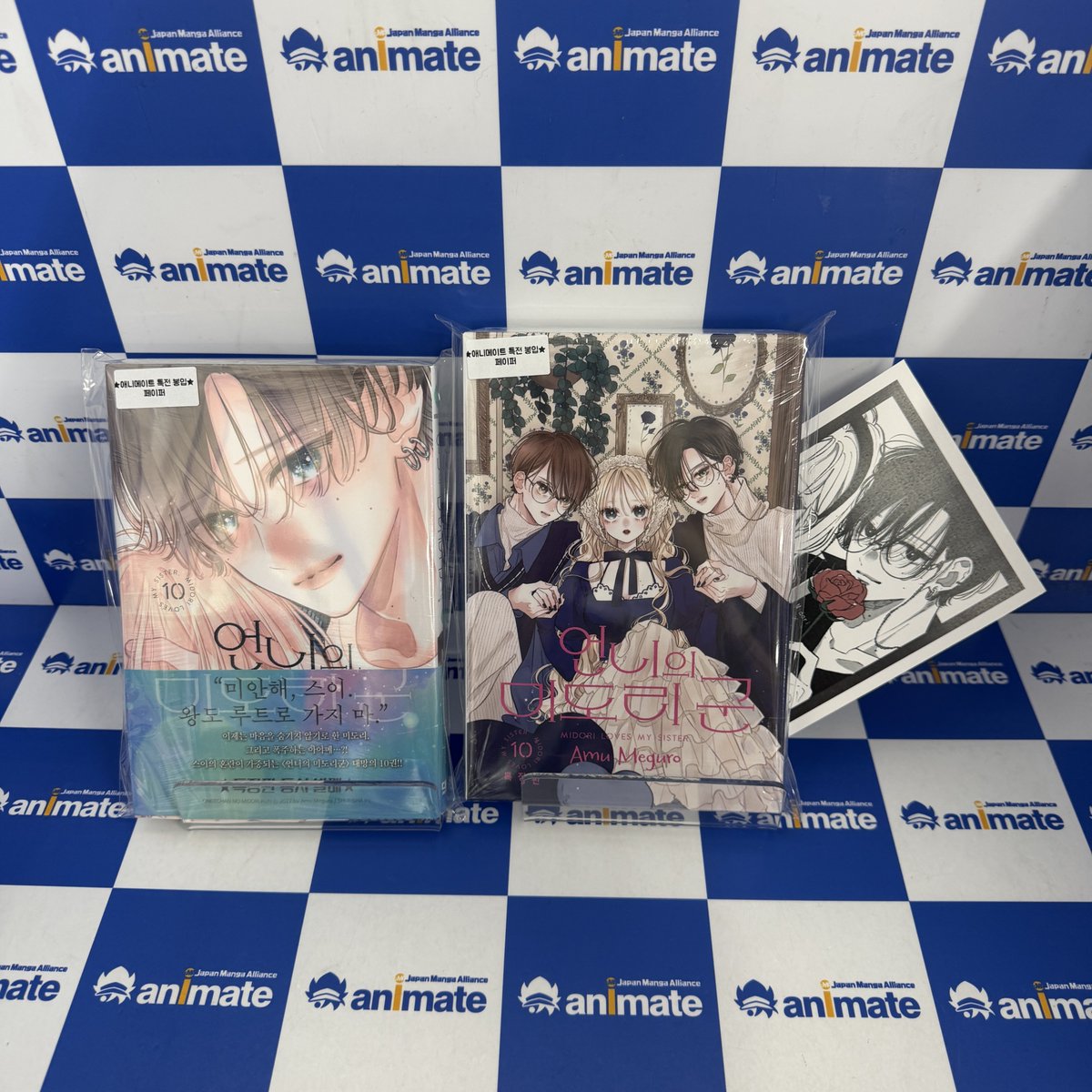 animate_lotte's tweet photo. 【입고소식📚/#서적】

"미안해, 스이. 왕도 루트로 가지마."

아야메와의 「시험 삼아 사귀기」의
기한⏰이 닥쳐오자, 어떻게 대답하면
좋을지 고민🤔하는 스이...

오랜만에 재회한 미도리에게도
갑자기 끌어안겨서 다시 마음을 고백💌받는다.

이에 스이는 더욱더 혼란😵에 빠지는데⁉️

#언니의_미도리군 🔟권 일반판&특장판

🎁애니메이트 특전 페이퍼
 
#잠실롯데 #애니메이트 에서 만나요 `(*>﹏<*)′