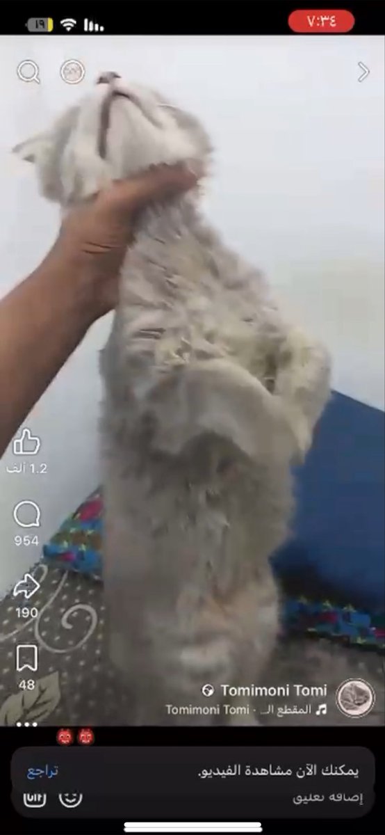 shhdotb's tweet photo. مقيم من الجنسية البنغلاديشية يقال إنه من سكان مكة، حسابه بالفيسبوك مليان مقاطع يعذب فيها القطط بطرق وحشية ومؤلمة، غير مبالي بأنظمة المملكة اللي تجرم إيذاء الحيوانات. اللي تجرأ يسوي كذا بحيوان أليف ممكن يوصل بكرة انه يتمادى ويوصل أذاه وإجرامه للناس 
@MEWA_CARE @kamnapp https://t.co/Odm3KZ00uT