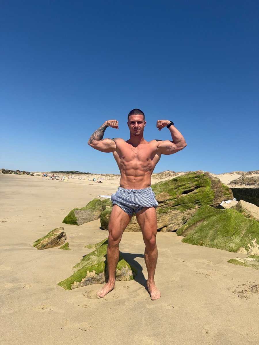 SoldierSecret_'s tweet photo. Just here to cause distractions. https://t.co/COqG74KmoM