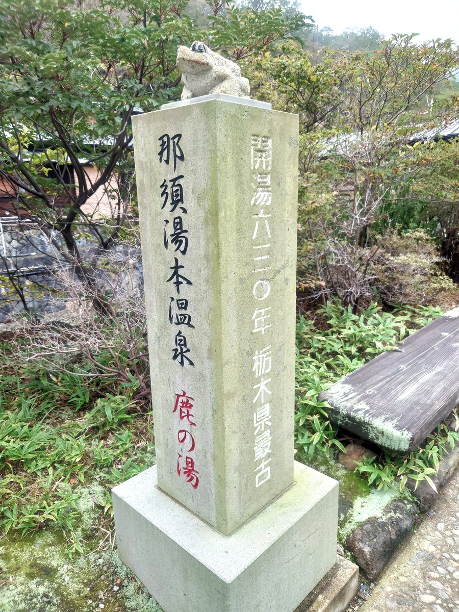 sakenohedo's tweet photo. 曇天が似合う https://t.co/ISuiw7LtQB