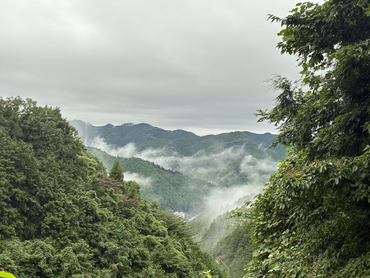 nahousagi's tweet photo. ヤマビルヤマビルヤマビル🤮🤮🤮
飯能の山頂標識も無いようなドマイナー山
久保山登り口から烏帽子間でヤマビル遭遇
こんな山にはいられん帰らせてもらう
今日に限ってヒルキラー無いし
幸い虫除けは大量にかけてあるので被害は無いと思いたい
飯能に出るんじゃ青梅奥多摩出現も近いか😱 https://t.co/F2pJbdqtpm