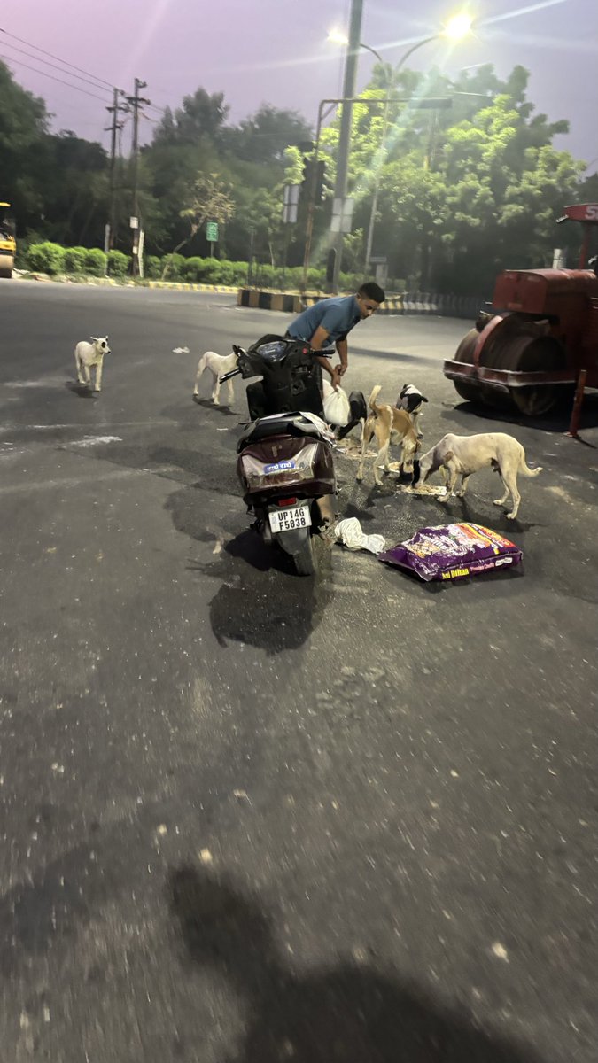 arunverrma's tweet photo. @CeoNoida @Uppolice until and unless we stop such people who in the name of social service dont follow a basic civic sense of not littering, doesnt matter how many dustbins and beautiful roads you make. Noida will
Always be a dump yard https://t.co/LRPPptRBLh