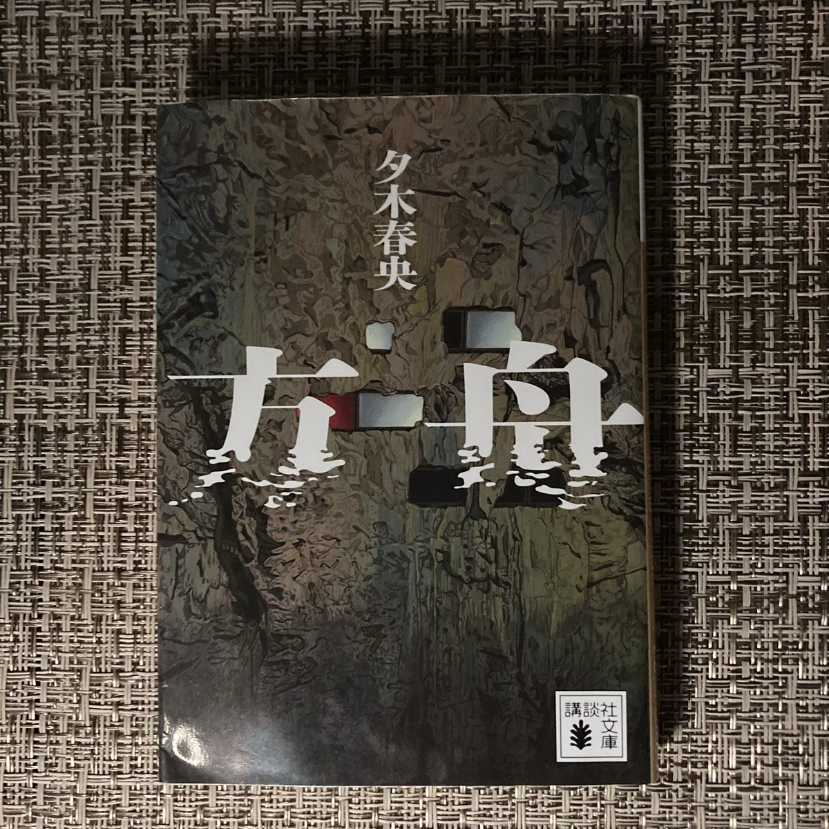 heppokomam's tweet photo. #読了 方舟/夕木春央さん

読んだ！ついに読んだ！
これね、２回読んじゃうね♪

未読の人は一切情報を入れないで読んでほしいから、何も語りたくない笑 https://t.co/si9QqYVyYf