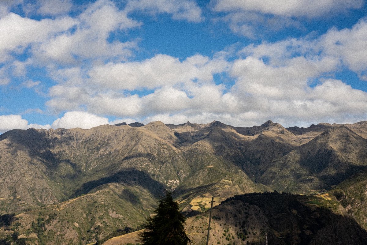 rafvillasmil's tweet photo. En la Sierra Nevada de Mérida el verde no es un color: es una densidad.

Las montañas de mi amada Mérida ⛰️

#fujifilm https://t.co/fn06n6rPPU