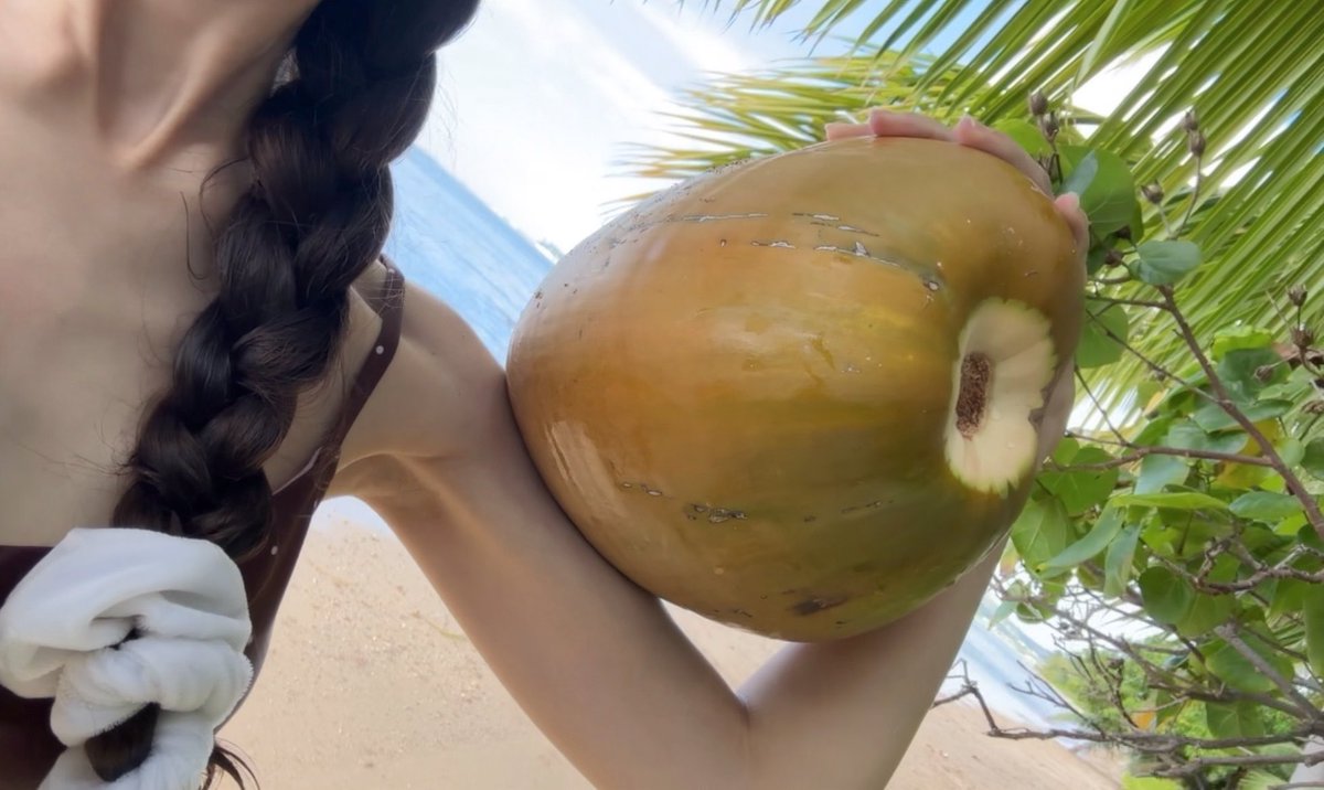 areyoudoll's tweet photo. found a coconut https://t.co/7WBiKrLZ30