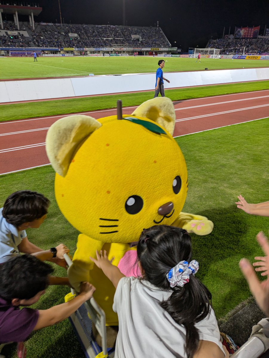 DNSK6302's tweet photo. 移動が速くてタッチできなかったにゃ笑🐱🟡
#ゆずにゃん　#富士川町　#vfk https://t.co/fP4ZFPZW1y