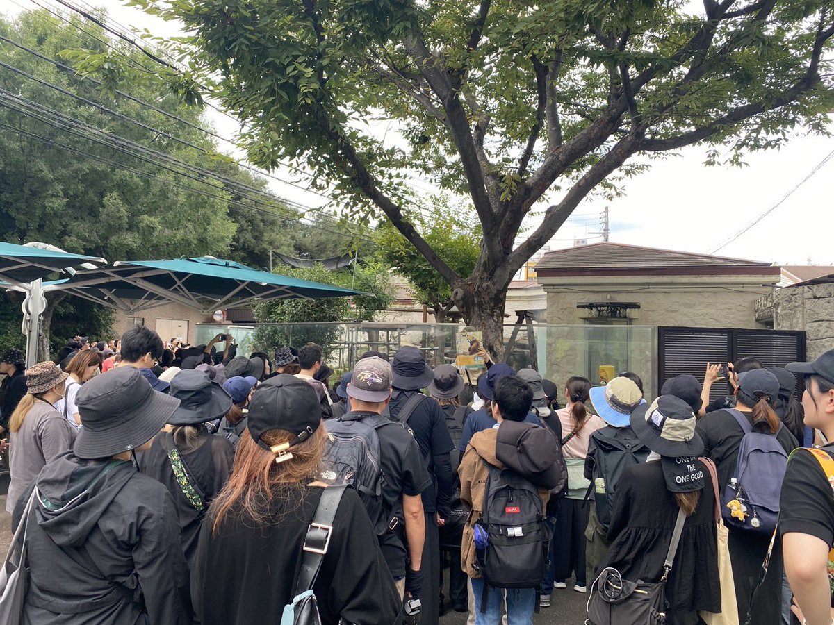 TenZoo_official's tweet photo. 昨日は #worldredpandaday です。天王寺動物園では今回が初めてイベント開催でした！　野生のレッサーパンダを保護するためにたくさんの募金ありがとうございました♪ たくさん募金いただき、我々飼育員もとても驚いているところです。感謝！
#天王寺動物園 #レッサーパンダ #募金活動 https://t.co/8WnR0CDRaI