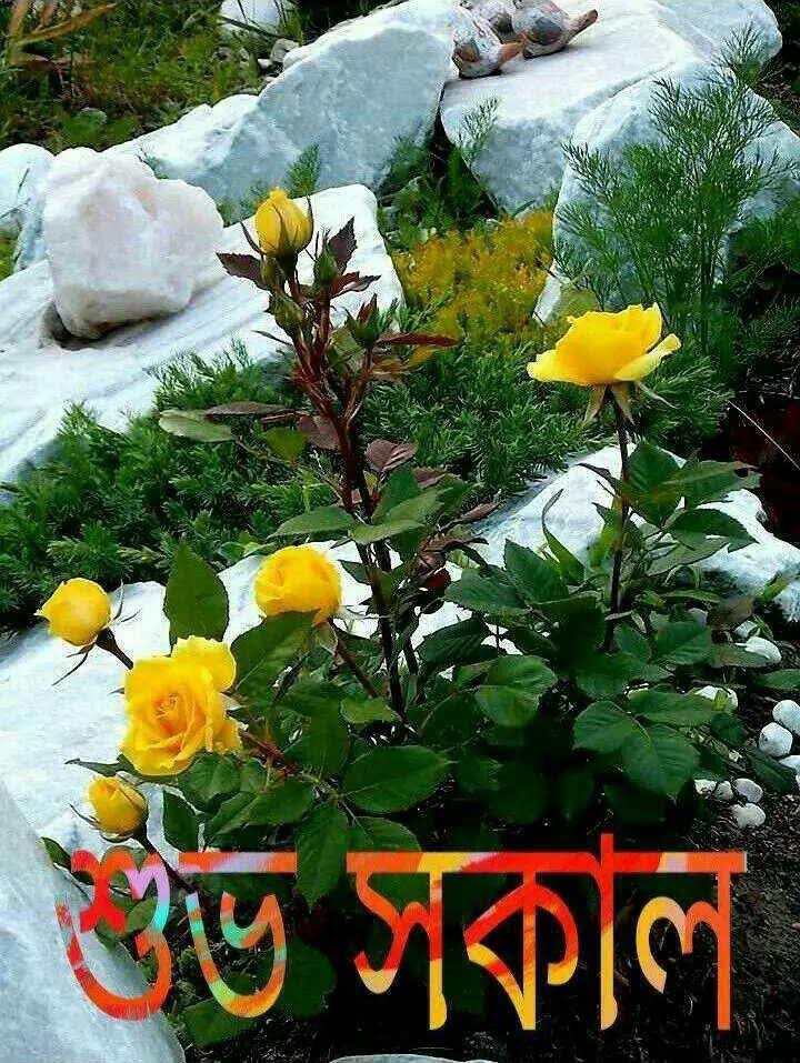 PalMahim4087's tweet photo. Good morning 🌅🌅 https://t.co/aKfKjmdw6a
