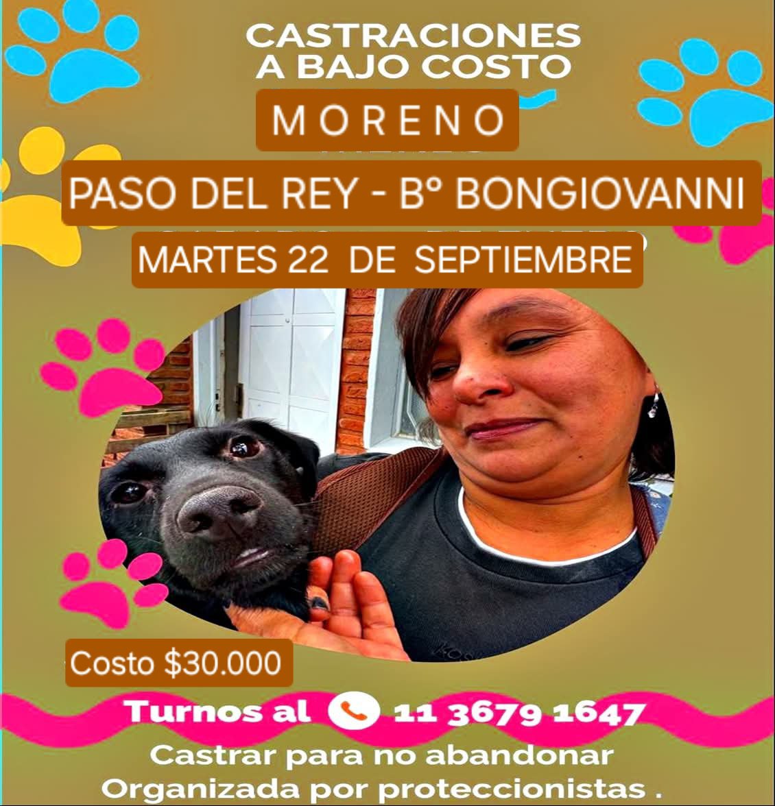 protegealanimal's tweet photo. MORENO
#MORENO #SANJORGE #LOMASDESANJOSÉ #JARDINES1 #CASCALLARES #SAMBRIZZI #ELCAÑÓN #LASFLORES #PASODELREY #BONGIOVANNI #TRUJUI #BARRIO4VIENTOS #MALAVER2 #CUARTELV #LAREJA #VILLASALAS #VILLAZAPIOLA #25DEMAYO #LAVICTORIA #MIBARRIO #FÁLVAREZ #ZONAOESTE #GRANBSAS #BSAS #CONURBANO https://t.co/76KG5i0Qva