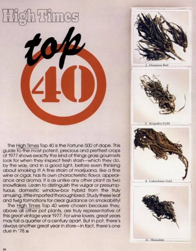 StopPlugPricing's tweet photo. What Cannabis looked like in the 70’s https://t.co/2m0TOTPMIC