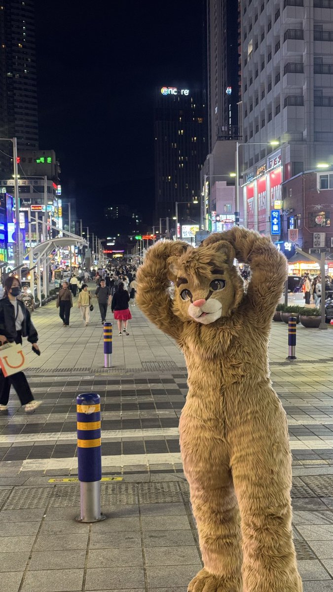 ruelonhere's tweet photo. Meeting a huge kitto on night street

🐈 : @ThisOneSleeps https://t.co/YWF44jGs2a