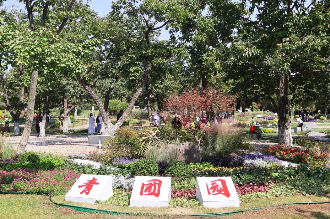 HiLinyi0539's tweet photo. Linyi International Sculpture Park has added 10 themed flower borders, covering approximately 10.5 mu (about 0.7 hectares). Created by renovating existing Chinese chestnut groves and nursery grounds, they feature a natural, rustic style and rich seasonal layering, and are open to the public free of charge.
