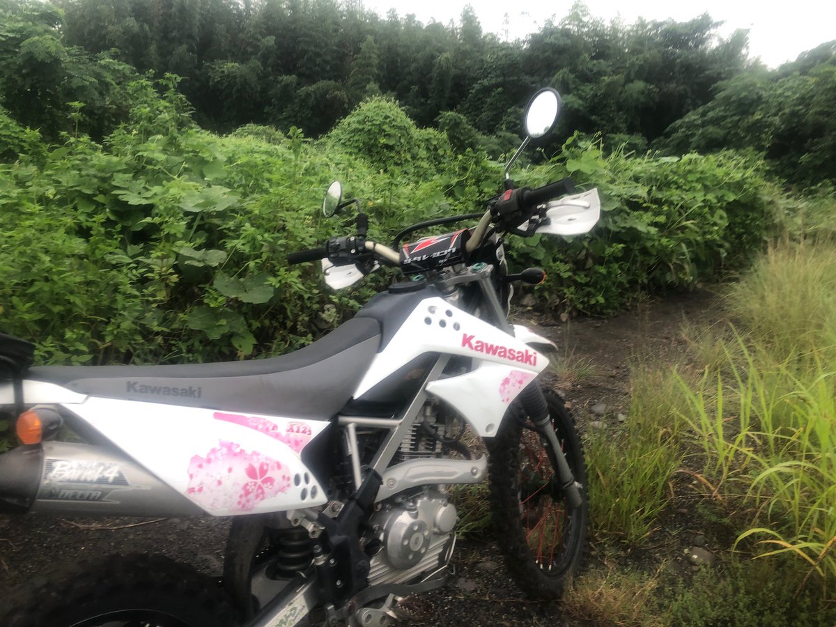 limegreen3107's tweet photo. こんにちは☔️
中止となった今朝の「利根川下りツーリング」でしたが、ＡＭ７：００「雨が降っていない」😱😰😖
「ちょっと利根川まで🏍️💨」と❣　しかし程なく雨が降ってきて、ほっとしたスタッフです😊
昼にはすっかり雨��様🌧️🤭
モトハウスライムグリーンは本日も元気いっぱい営業中です🈺 https://t.co/WoVOOh5ZqN