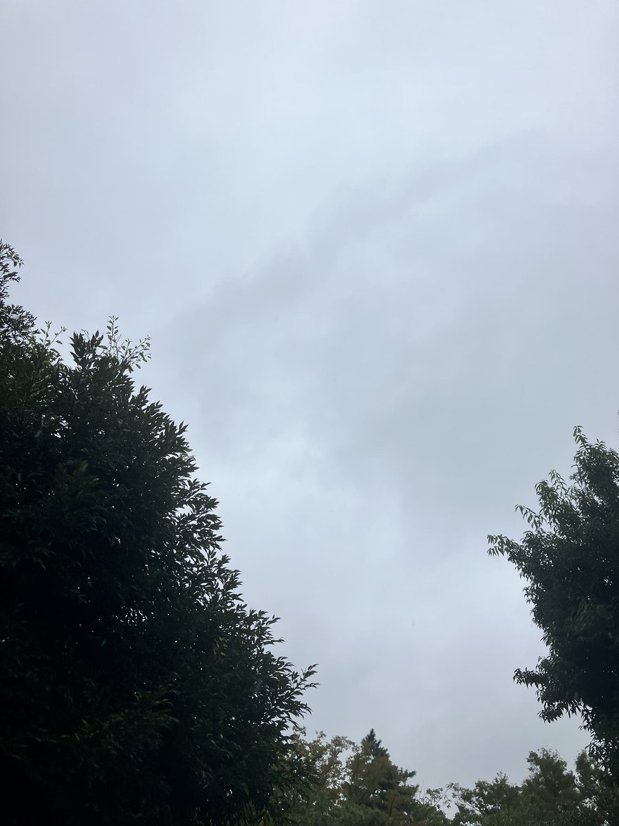 kai0010's tweet photo. 今日も暗めの空です。

雨の中を軽く散歩。雨の唄を口ずさむ。 https://t.co/E4CghxHqLH