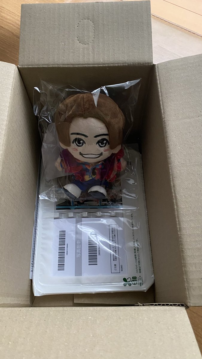 hideka_amnos's tweet photo. そして、ダンボール開けたら、ディスコスター様がこんにちは🕺してた🥰☺️😊😆🥹 https://t.co/e5VNOqIYus
