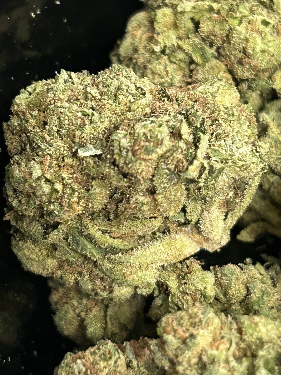 StopPlugPricing's tweet photo. Gas Alert!!🚨
- Cali gas to ✈️ you !⛽️
- Almond Mochi $59zip!! 
#cannabis #Hemp #weed

Get it here 👇🏻
https://t.co/YDn0rdQpsy https://t.co/eAuCukXk52