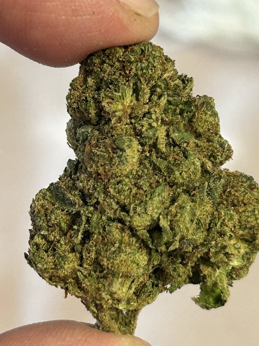 StopPlugPricing's tweet photo. Gas Alert!!🚨
- Cali gas to ✈️ you !⛽️
- Almond Mochi $59zip!! 
#cannabis #Hemp #weed

Get it here 👇🏻
https://t.co/YDn0rdQpsy https://t.co/eAuCukXk52