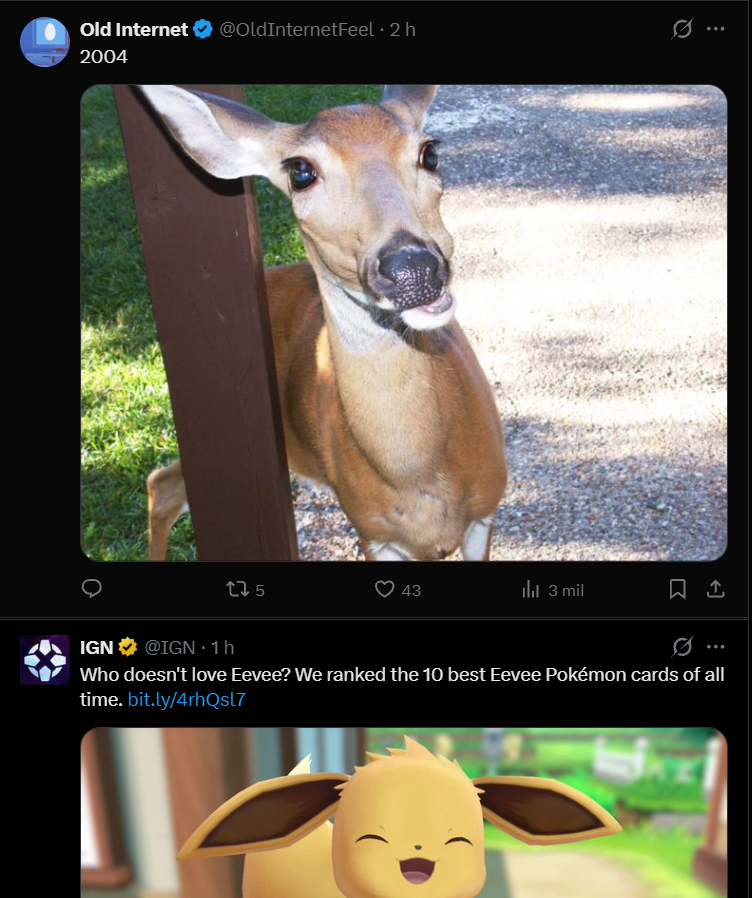 CSF33alt tweet picture