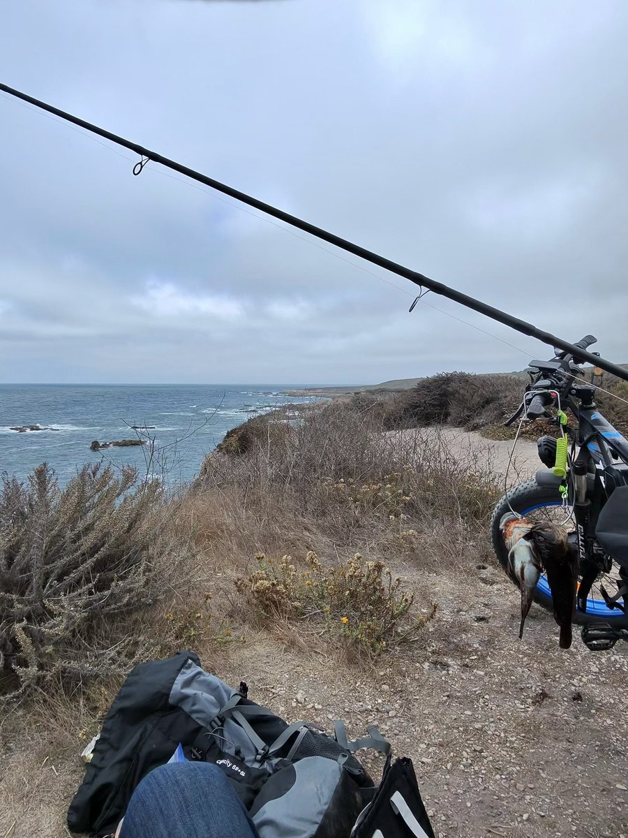 BasementPhoto1's tweet photo. Nice day fishing today https://t.co/bfpzSw8NzF