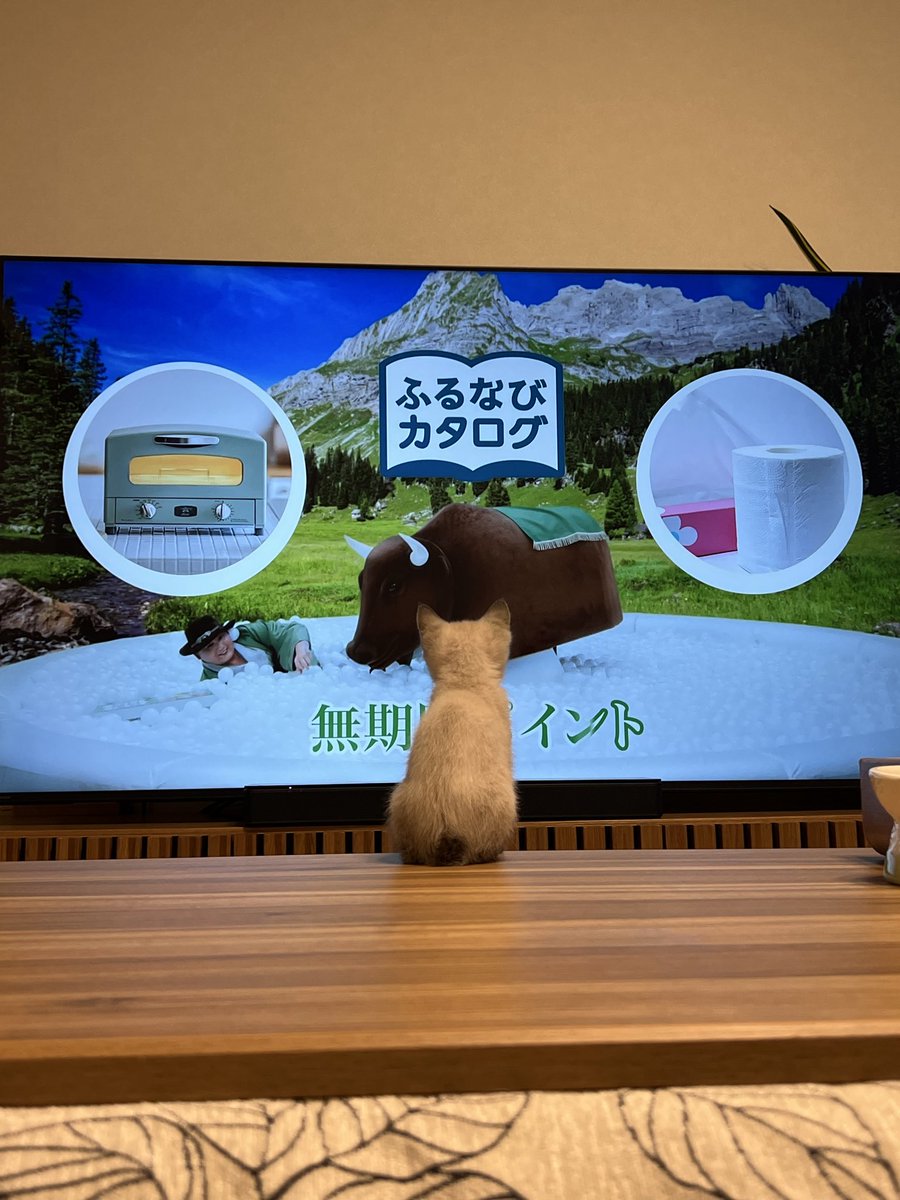 ft2r5a's tweet photo. ちびすけの後ろ姿たまら��♡ https://t.co/XLt3iDWFA7