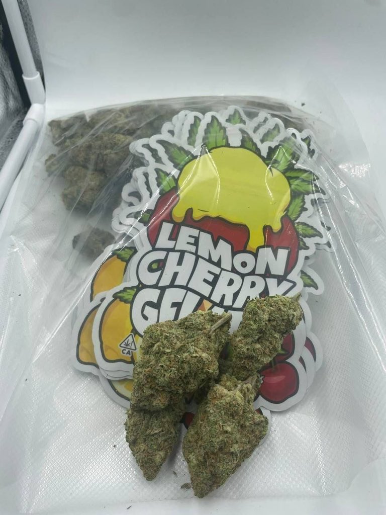 PersiEmmanuel's tweet photo. Livraison #beuh #weed #esta #3mmc livraison à domicile la team🇫🇷
Telegram : https://t.co/8fnqJQLESV
#weed #shit #3mmclivraison #beuhsurparis #tazz #cocaïne #coco #Occitanie #livraisonweed #Nice #Canicule  #Météo #Sécheresse #Incendies  #Actualités https://t.co/kQTY7ln7VA