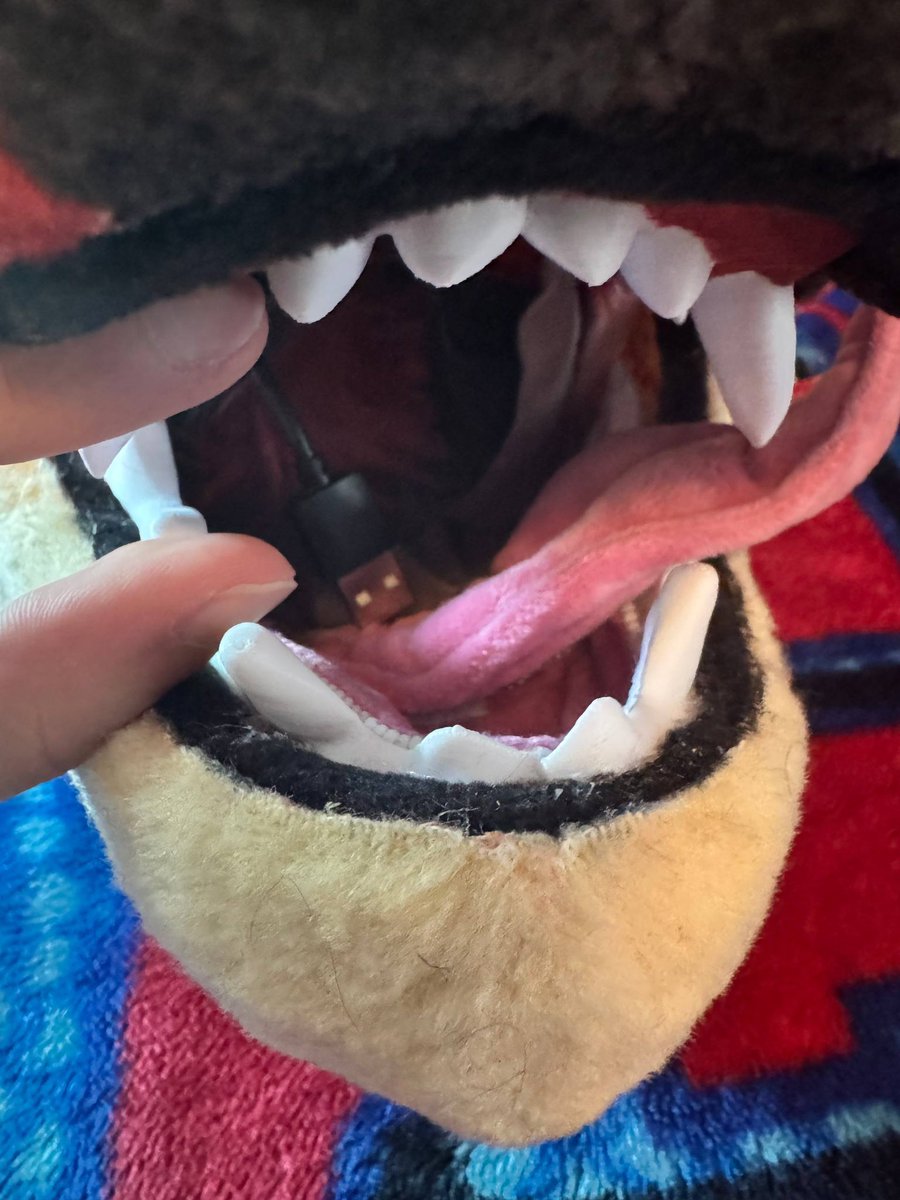 Ruby_protogen's tweet photo. Thank you for the customer feedback
https://t.co/PJhrLFg2na
#fursuitcommission #rubyprotogenstudio #vcr #dragen
#fursuit https://t.co/3X7OE8LLFf