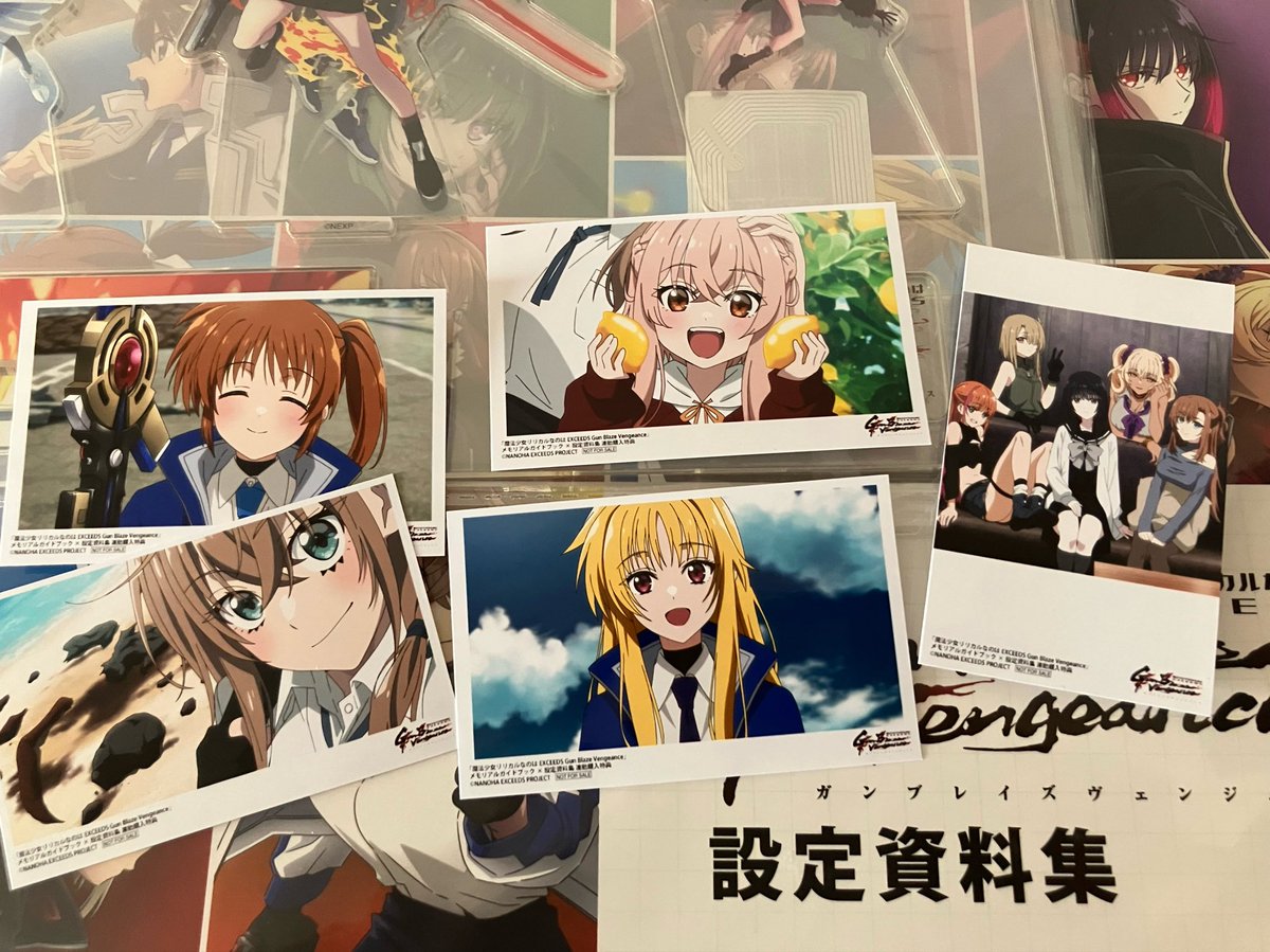 Ryohell972's tweet photo. 流石に限定版を買うお金は無いので通常版を買いました！
そしてジオラマと魔人狩りTシャツも勢いのまま買いました！（Tシャツは親が見たいと言ったので帰ってすぐ開けた）
頼んだぞ来月の自分！（ここ最近ずっとだけど）
#なのはEXGV https://t.co/cHw9Uhh3GN