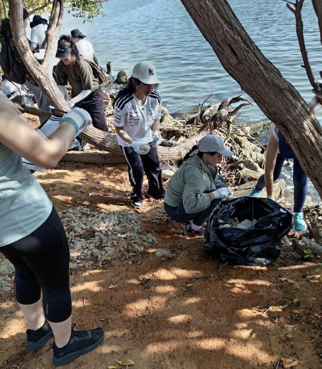 PanchoArias2012's tweet photo. Buena iniciativa de trabajo social, el Lago lo necesita… Y en estos jóvenes estudiantes, nace, sienten el amor por el lago, maltratado por quienes viven en sus costas. https://t.co/AWhlQTFXiz