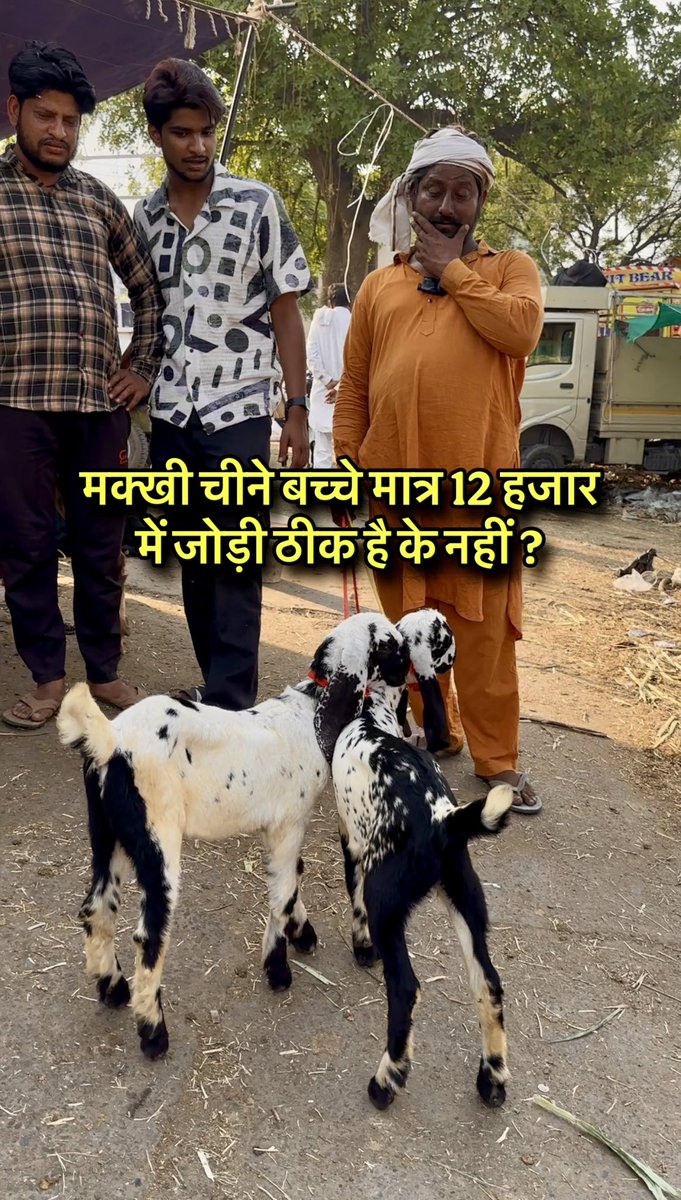 JugnuSharma16's tweet photo. https://t.co/0c6HhivWFh