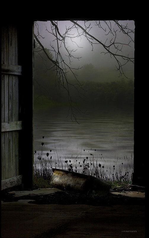 Gitana1369877's tweet photo. "Silence is a lesson learned from the many sufferings of life."
— Seneca https://t.co/Ey8M6mLcbr