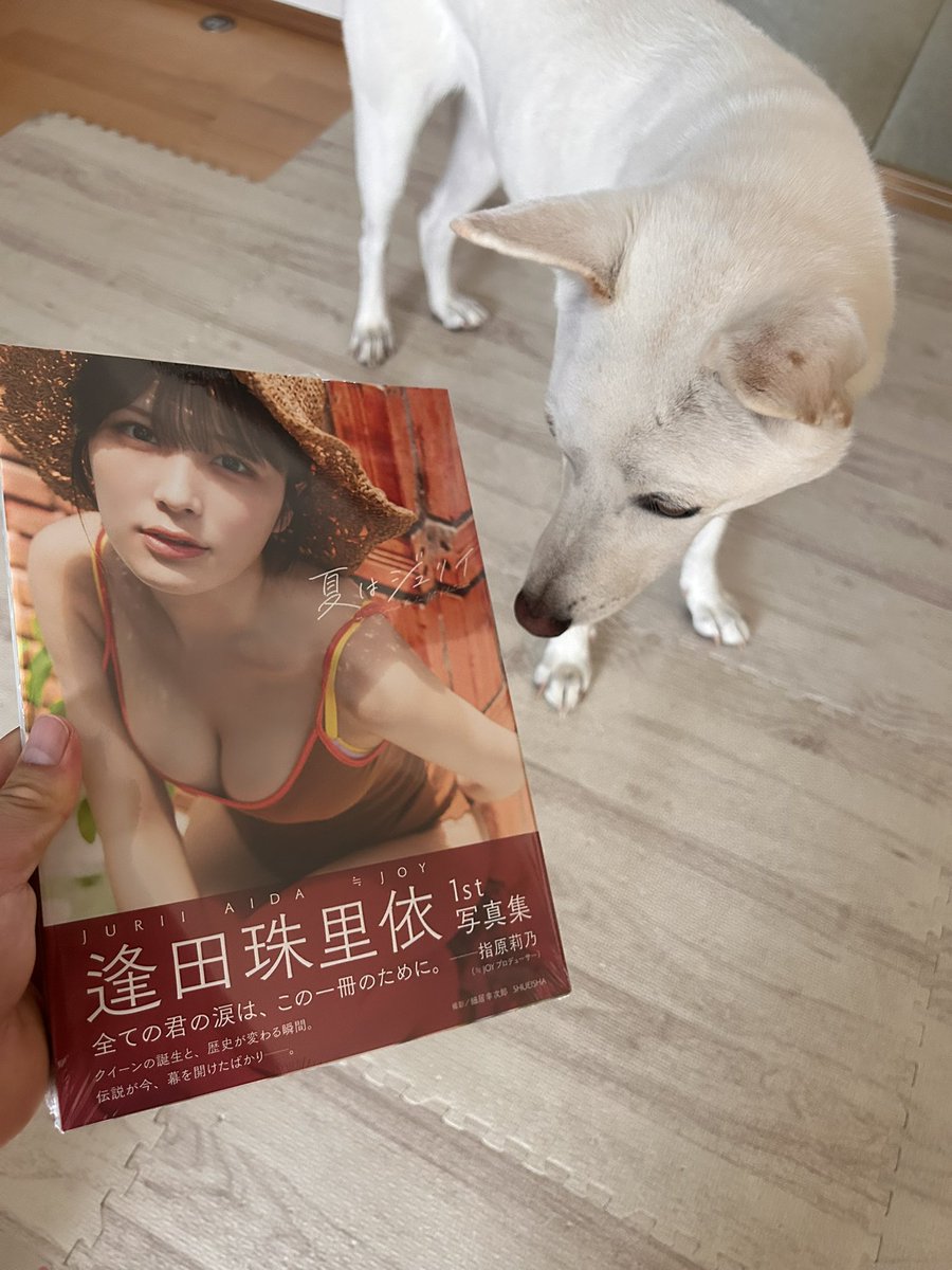 ryo_7me's tweet photo. やっと届いた〜！
#逢田珠里依 https://t.co/MXgs4k1Ppg