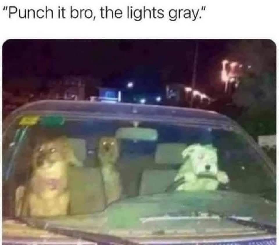 BadQualityMemes's tweet photo. https://t.co/0pazh1S20t