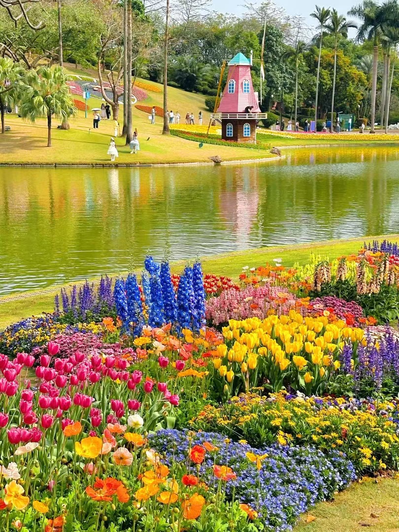 posyd598935's tweet photo. Love is like a butterfly. It goes where it pleases and it pleases where it goes.
大理市区r丽江r古城区q #大理 #丽江  〰🌸个人联系→@ytup55678 https://t.co/dfhRcdcabM