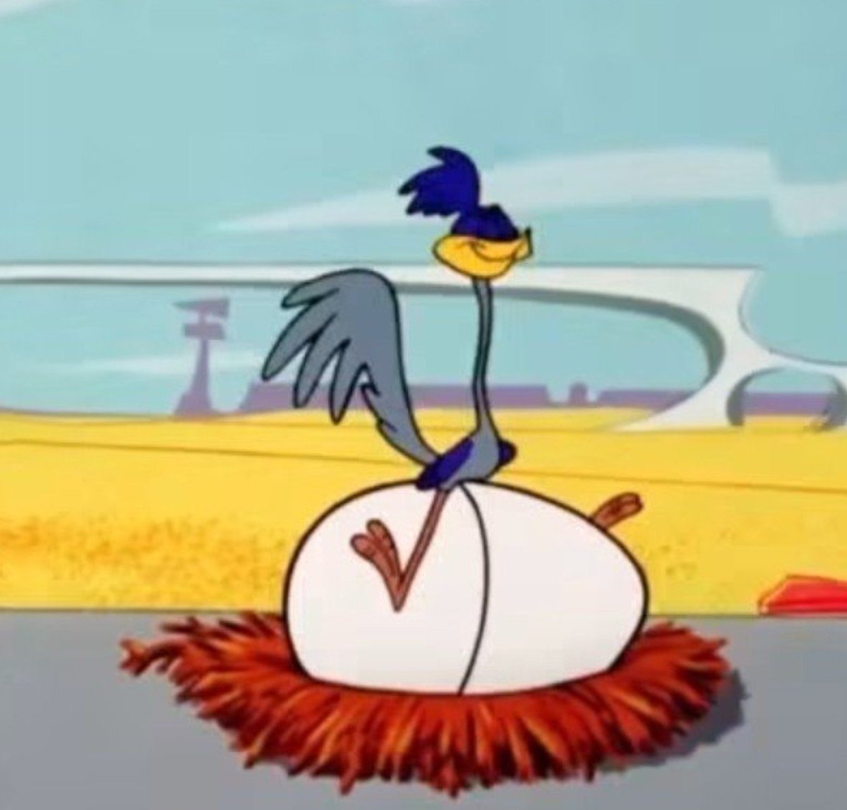 Misster_fu8's tweet photo. little roadrunners✨️

#roadrunner #wilierunner #roadreage #looneytoons https://t.co/IXeuV2OBRH