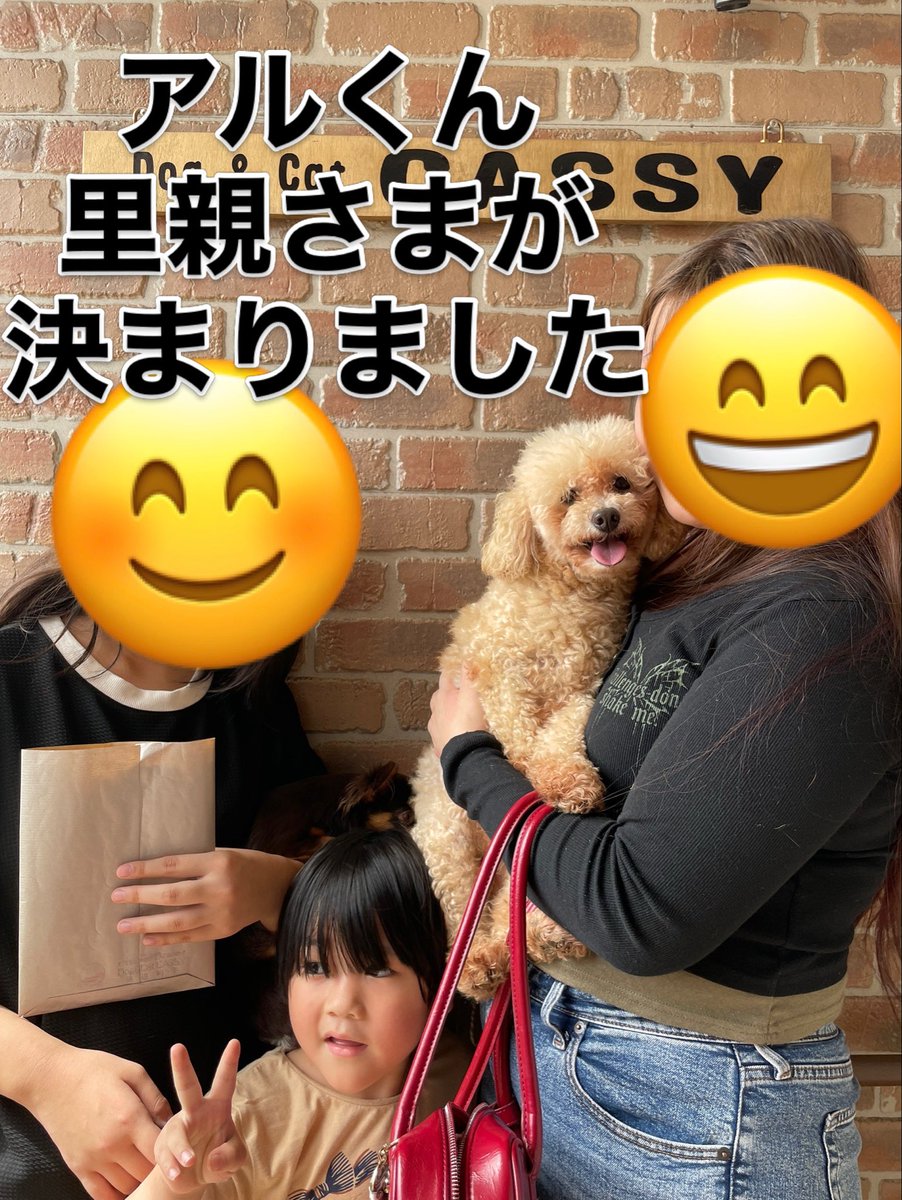 cassy96621's tweet photo. アルくん‼️
里親さまが
決まりました＼(^^)／ https://t.co/x5wLB8wtID