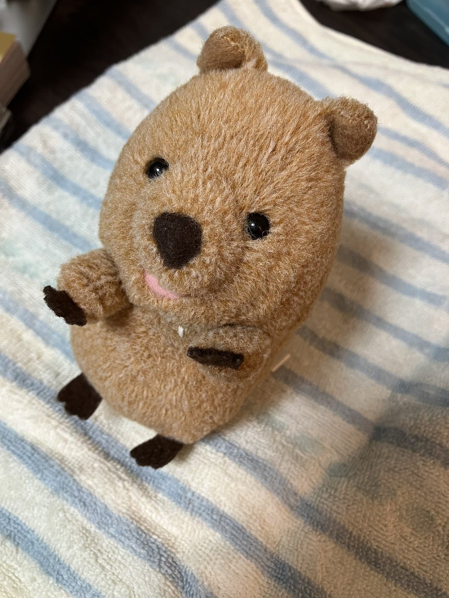 yR_snz's tweet photo. ビフォーアフター https://t.co/f7AW5YJnk5