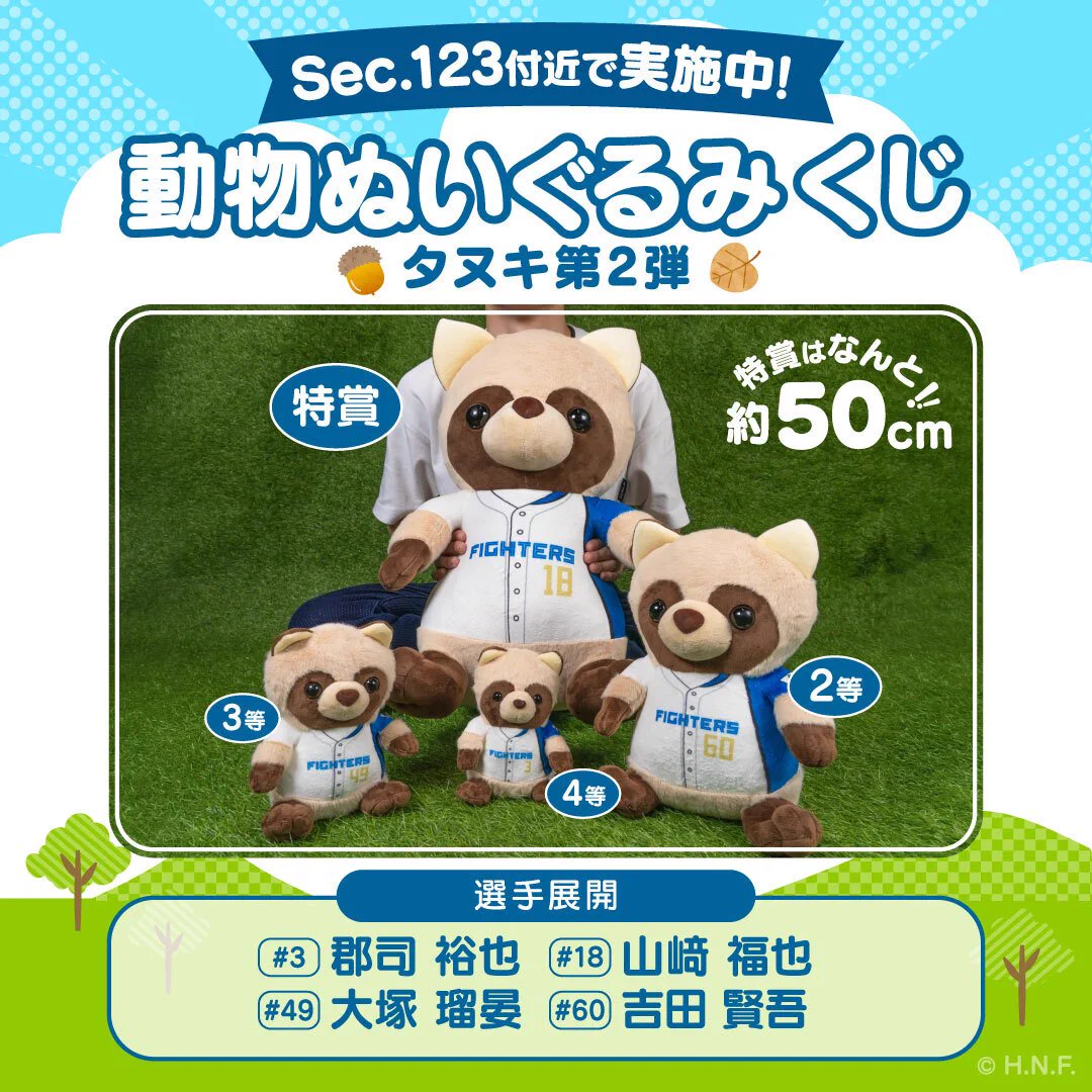 エスコン 動物ぬいぐるみくじ【２等 達選手 タヌキ】 北海道日本ハムファイターズ グッズ【公式】 on X: 
