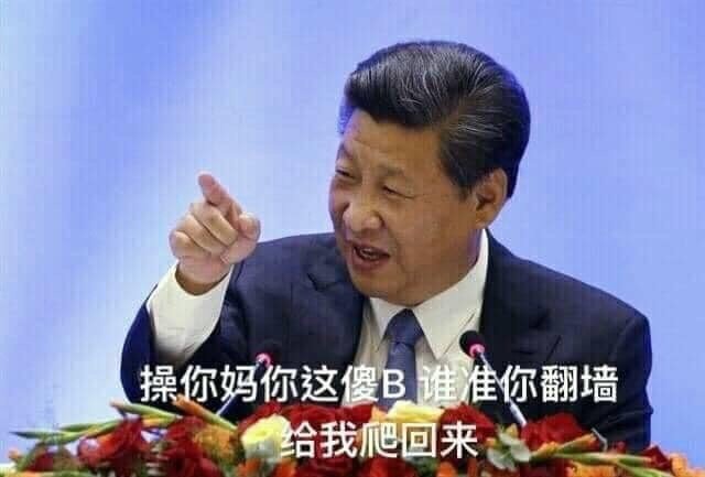 Boob8848's tweet photo. @qunima658063 @MoQiuyao201314 傻逼低能儿，习包子狗奴才 https://t.co/q9xKbwHBJ6