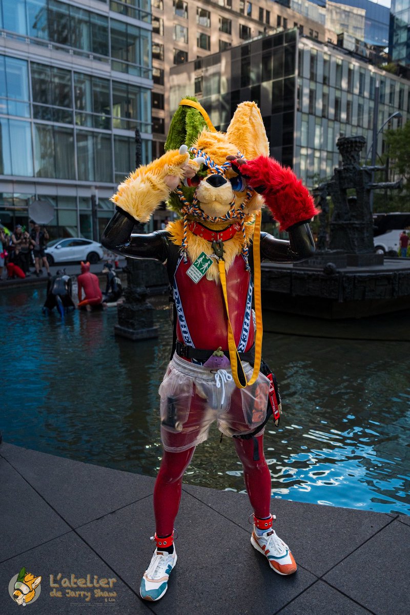 js_latelier's tweet photo. looking for trouble in Montréal 😉
à la recherche des ennuis à Montréal 👀

#SqueakySaturday #ShinyFur 
#NorthlandsFest #MFW2026 https://t.co/sirJ7gxIMz