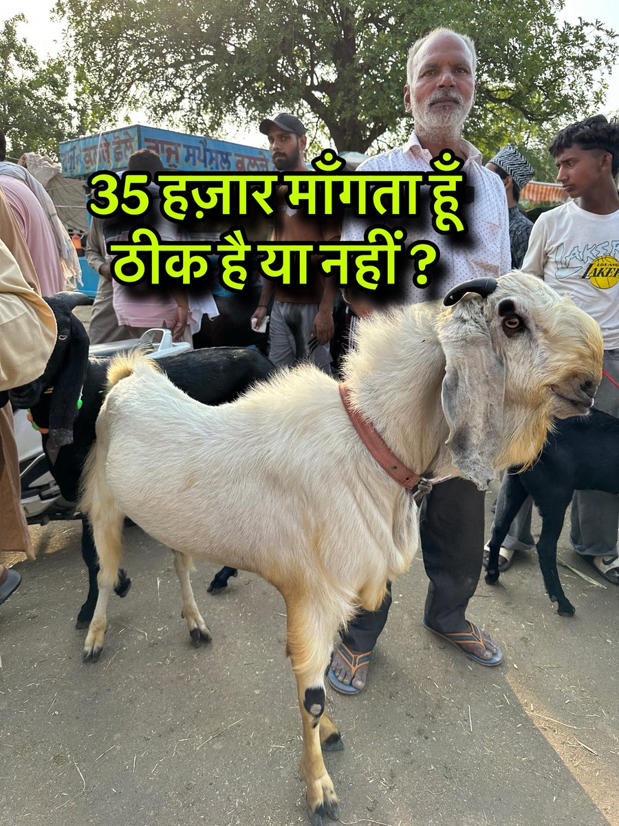 JugnuSharma16's tweet photo. https://t.co/5zfEsCZpN6