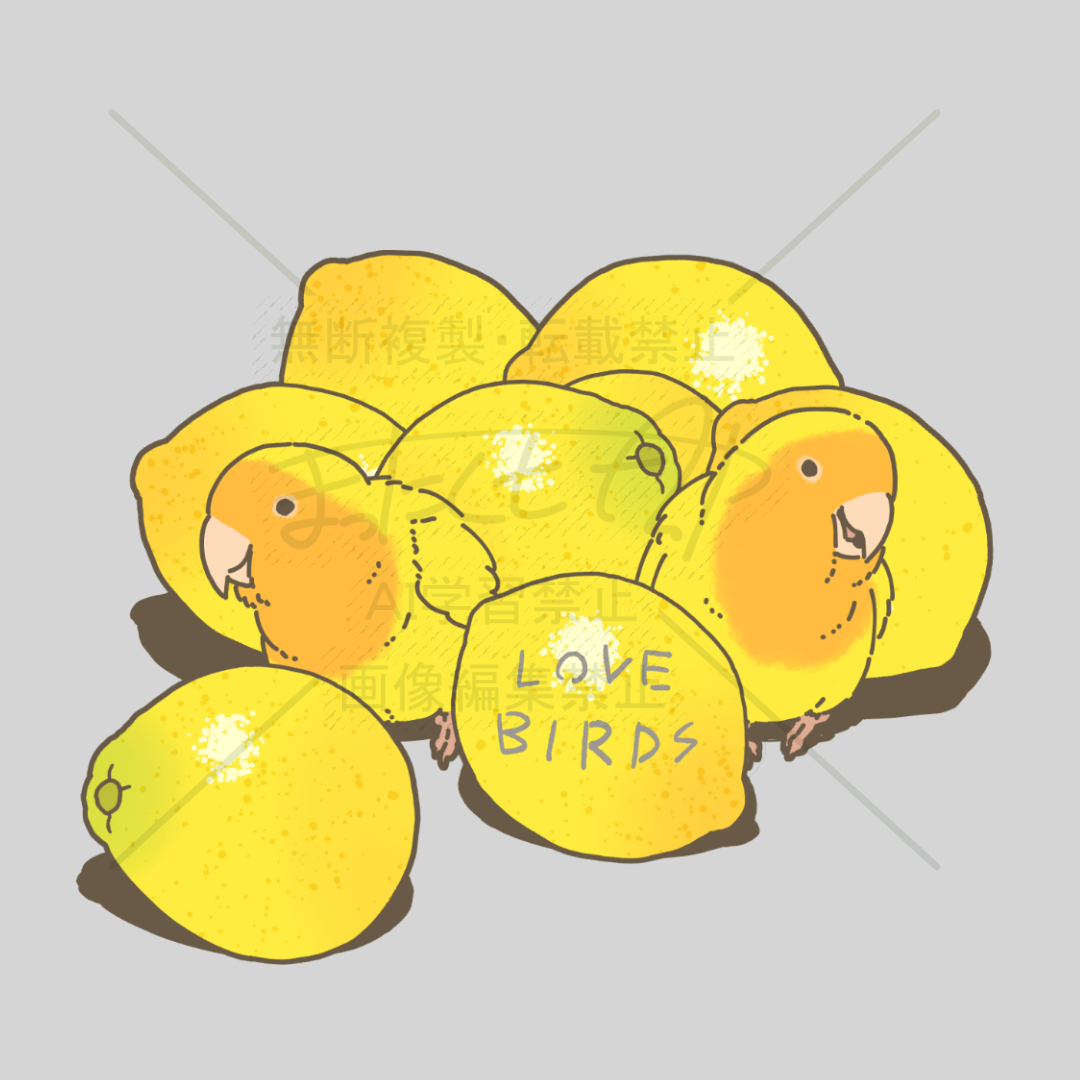 mmousuke's tweet photo. フルーツコザクラインコ https://t.co/zrYcholWWY