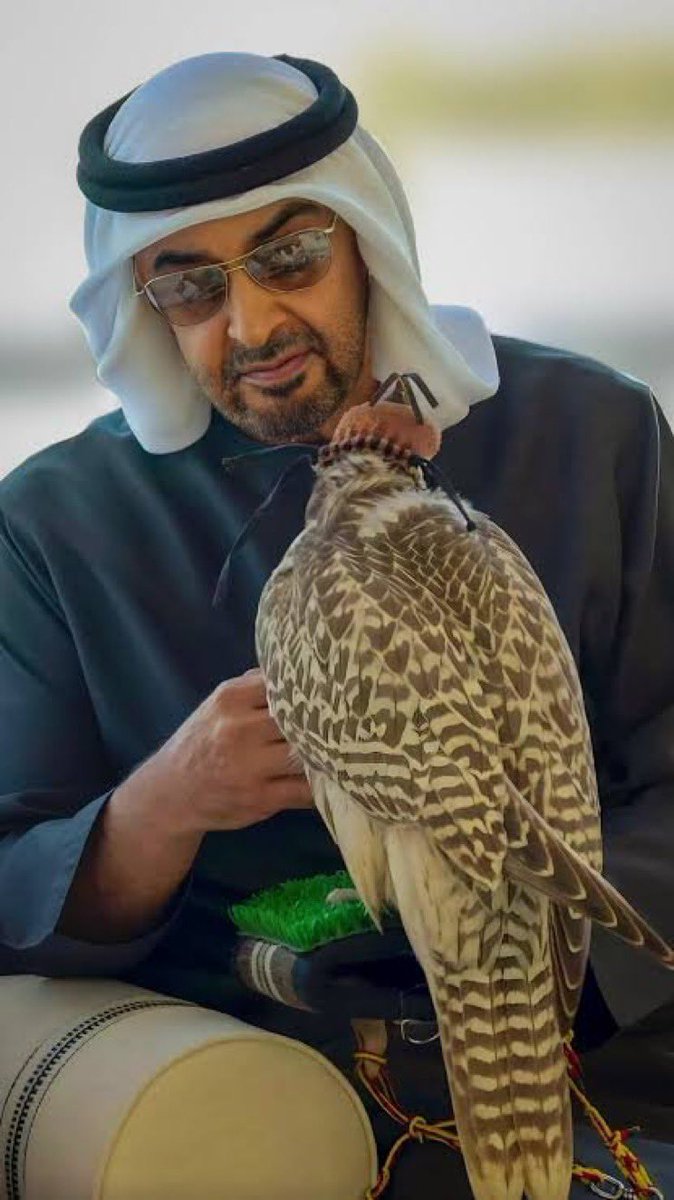 DrArwaAlqubais1 tweet picture