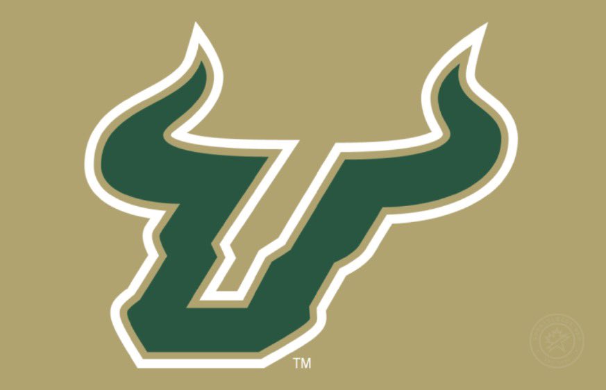 T3GonShine's tweet photo. IM VERY BLESSED TO RECEIVE MY 2ND 🅾️FFER FROM THE UNIVERSITY OF SOUTH FLORIDA #AGTG @CoachSmallEC @ECHSrecruits https://t.co/OJE9eiADjd