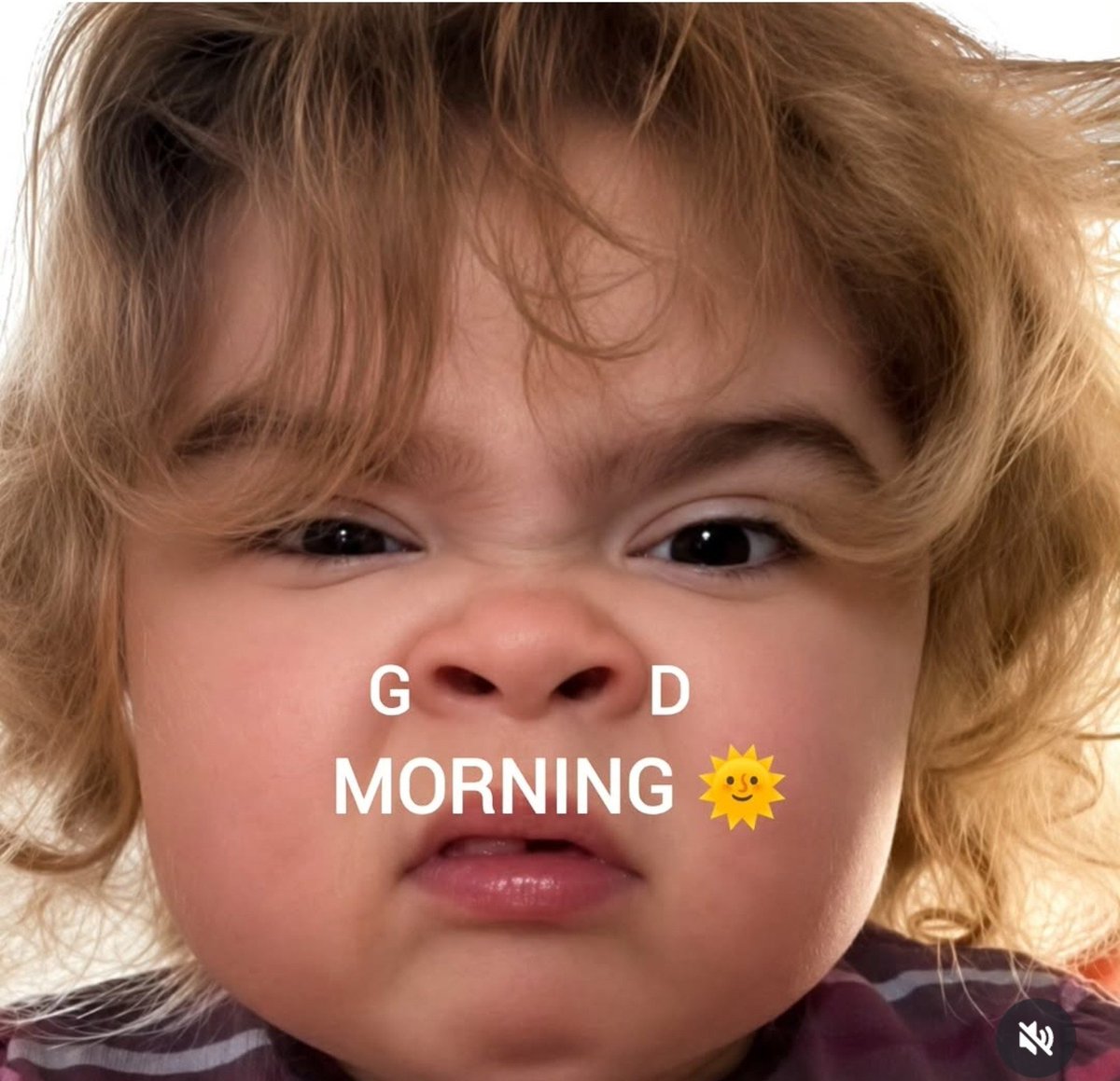 King_of_Asgaard's tweet photo. G ö ö D Morning https://t.co/aL40M3bnr2