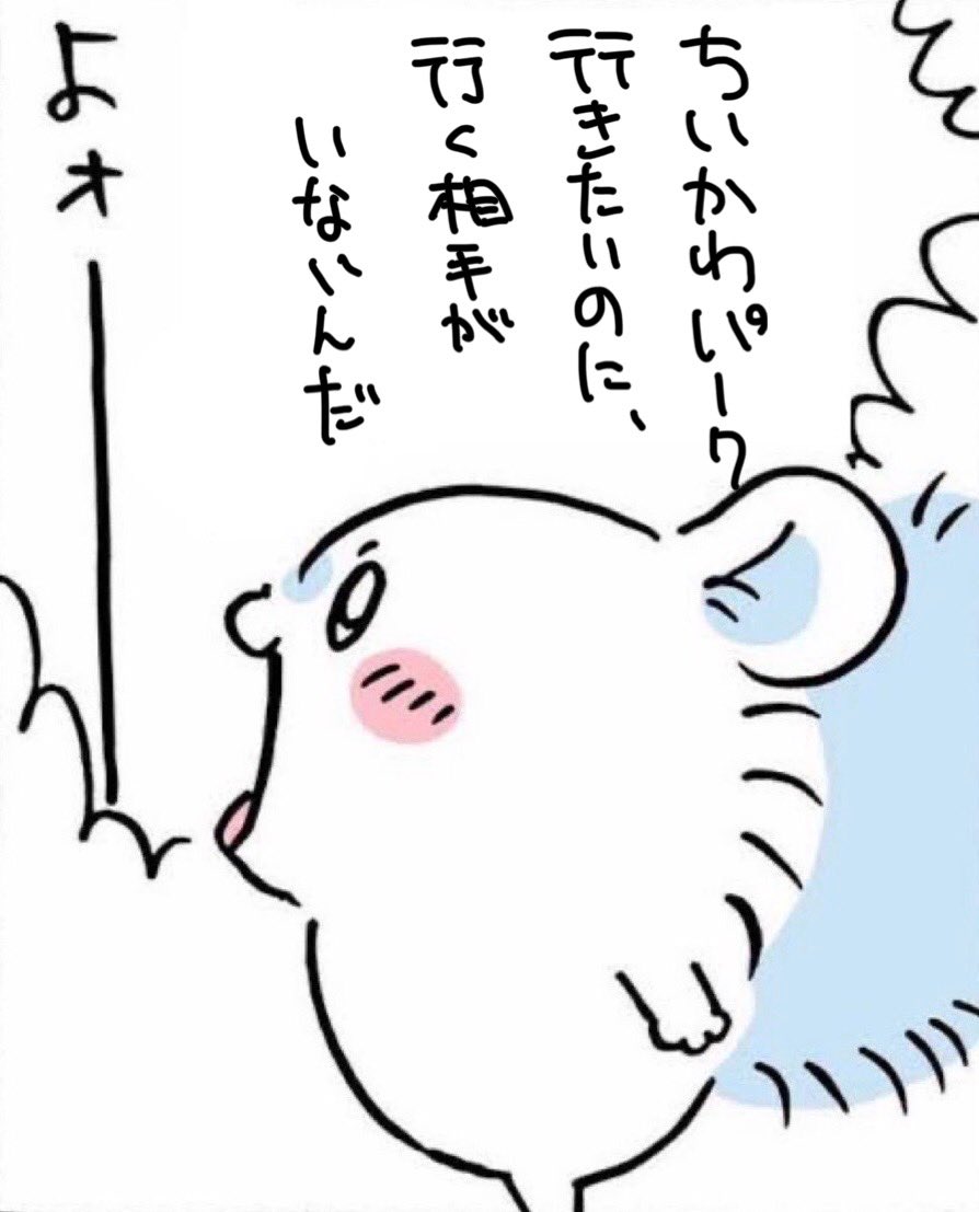 xbe109's tweet photo. お友達少ない人間すぎてこれ 推し活できぬ:( •ᾥ•): https://t.co/0G5fxBlxTh
