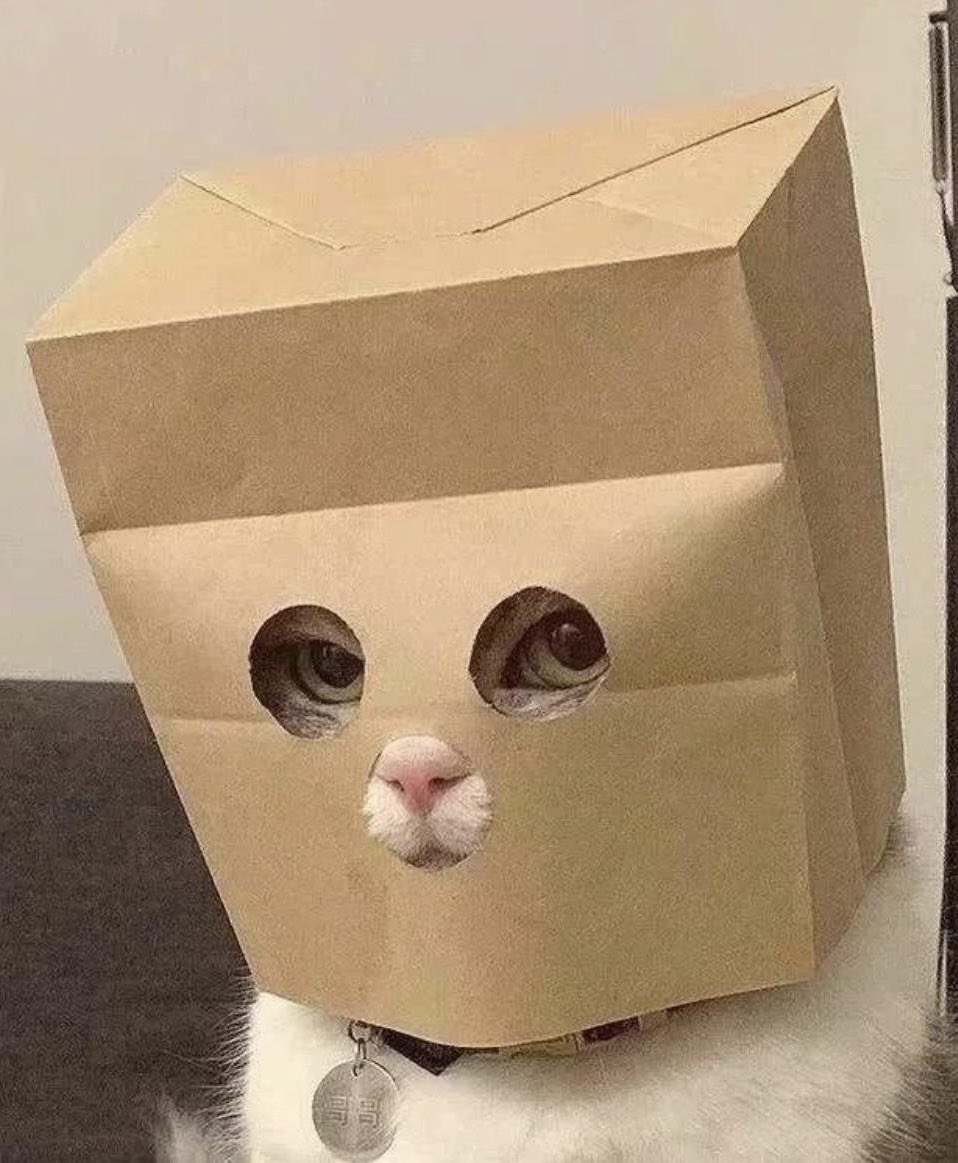 MrketInsider's tweet photo. BREAKING: $CATE FLIPS $ZCAT https://t.co/fa5ldgXR2a