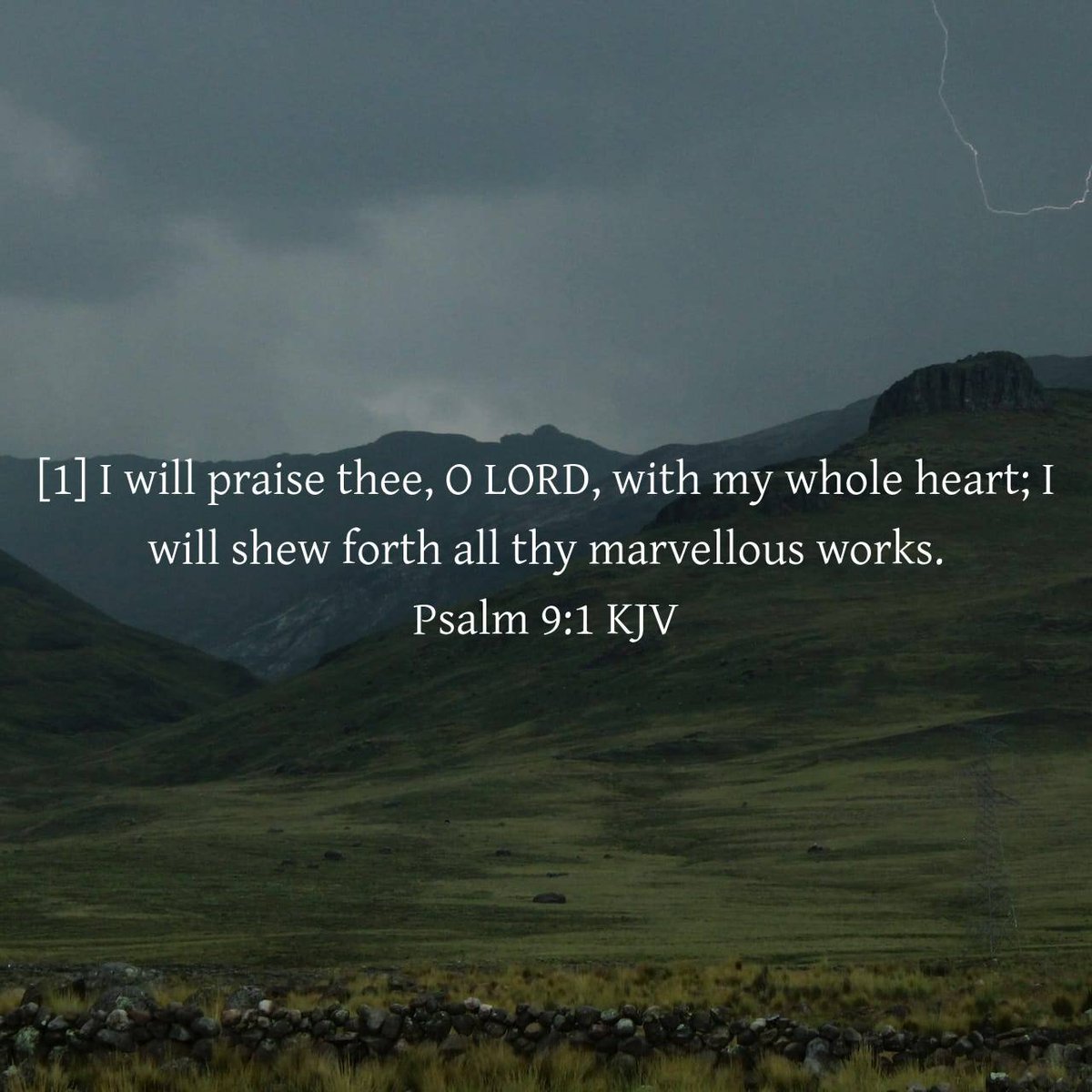 lisamabry's tweet photo. “I will praise thee, O LORD, with my whole heart; I will shew forth all thy marvellous works.”
Psalm 9:1 KJV

https://t.co/zmeo5ajNbu https://t.co/AWy6mhUiwW