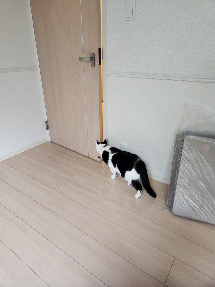 Tillnell_'s tweet photo. 姫まずドア閉めたwwwwwwwwwww https://t.co/8NbtLEQ0GU