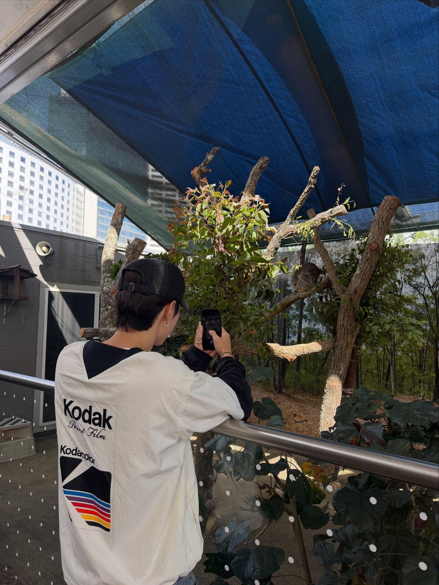 sunsunflowerm's tweet photo. เหมือนพบเจอได้ทั่วไป แต่ก็ไม่ใช่🥺

#MarkTuan @marktuan https://t.co/KUFDv6blc3